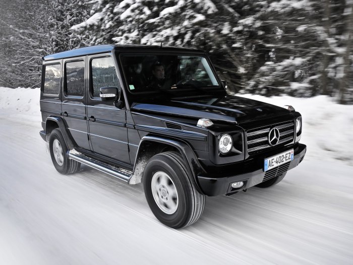 Mercedes-Benz g350
