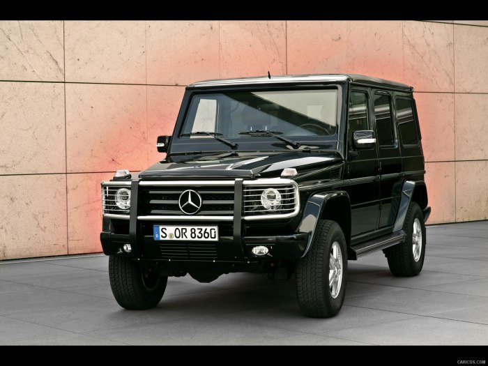 Mercedes Benz g class w463