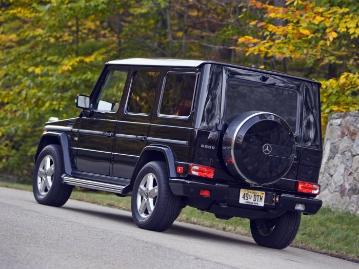 Mercedes Benz g-class g500