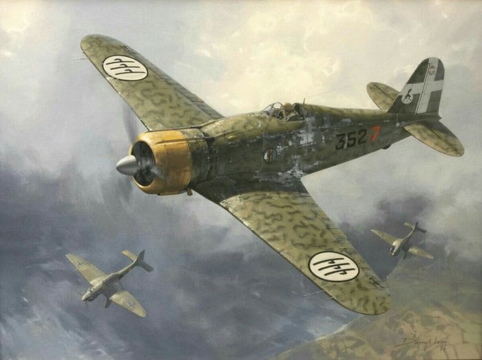 Fiat g50 самолет