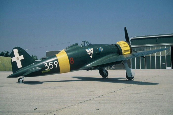 Итальянский истребитель Macchi MC.200