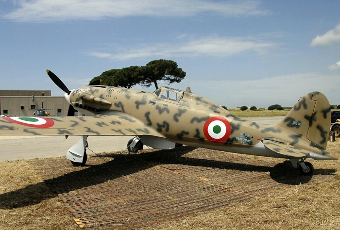 Macchi c.202