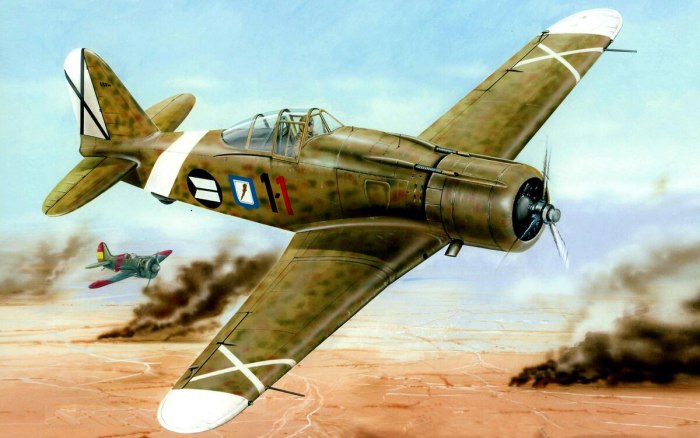 Fiat g.50b
