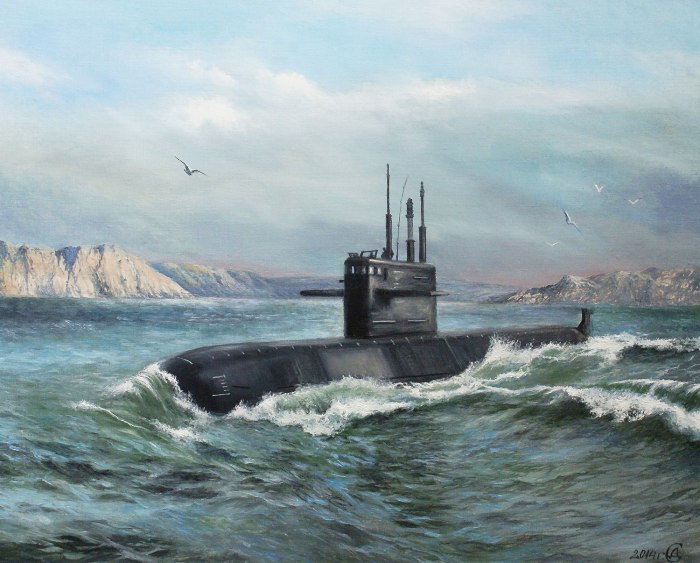 РПКСН 667 Буки