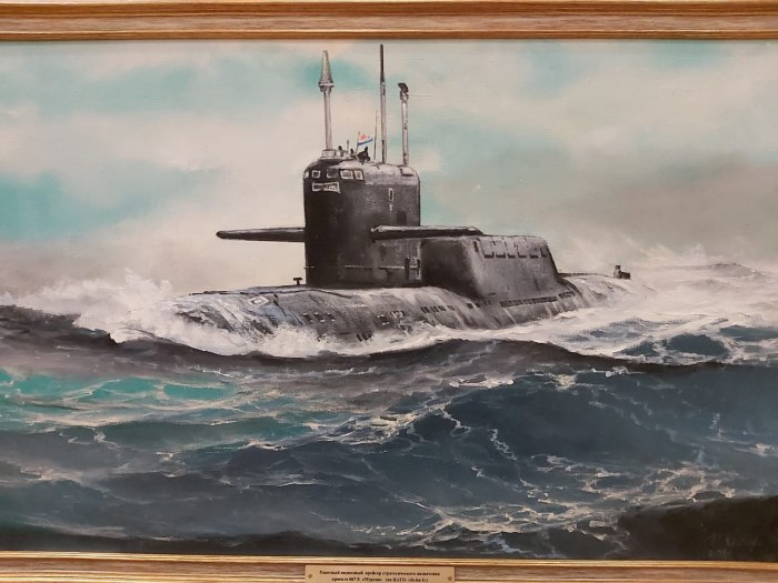 Подводная лодка мурена проект 667б