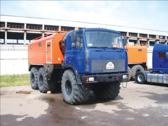 МАЗ Ельня 8066