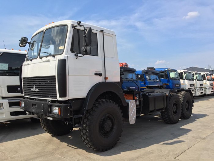МАЗ 6317f9