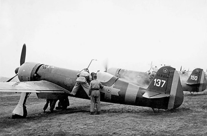 Румынский истребитель iar 81