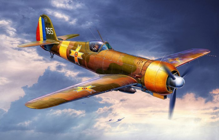 Iar-81 самолет