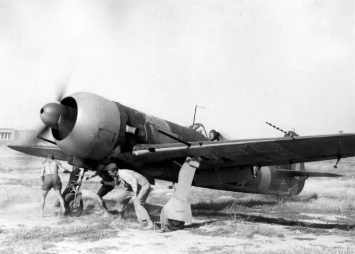 Iar 80 самолет
