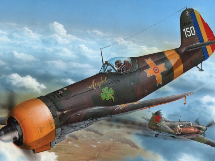 Иар-80 самолет Румыния
