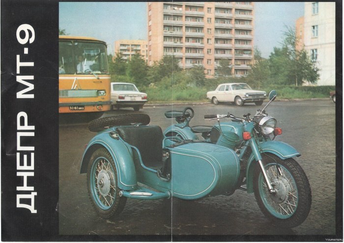 ИЖ 55