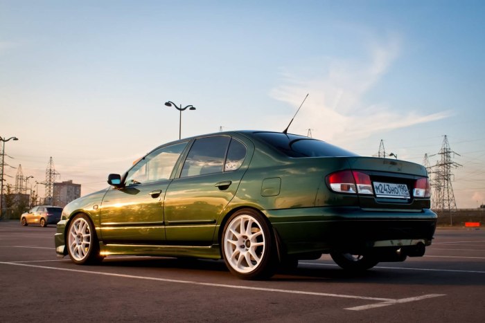 Primera p11e