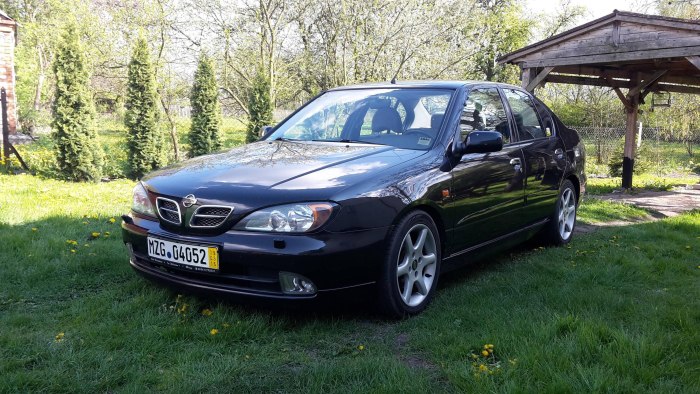 Nissan primera p11 кузов
