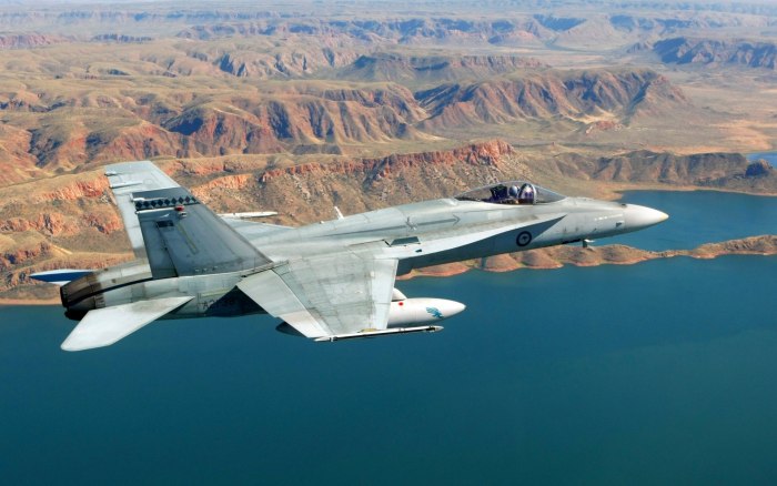 F/A-18 «Хорнет»