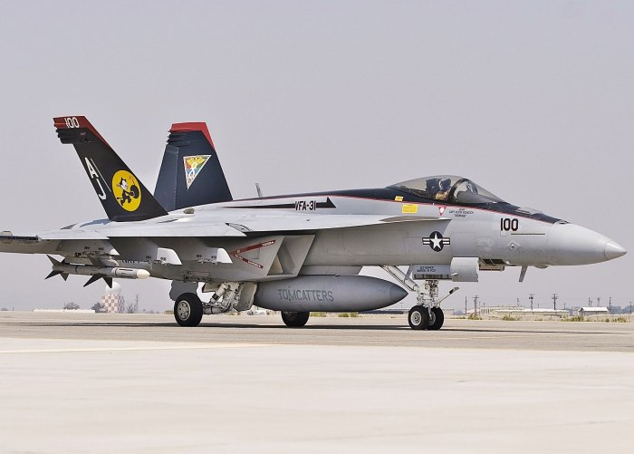 Boeing f/a-18e/f super Hornet
