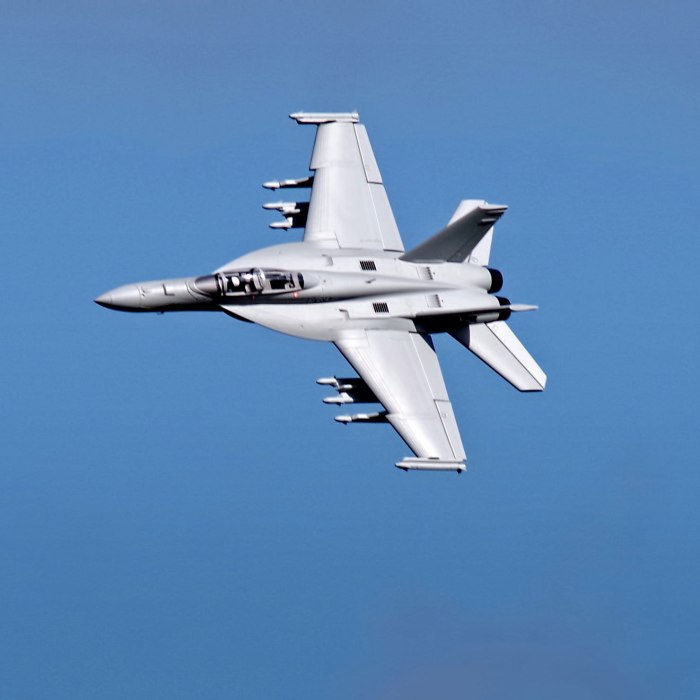 F/A-18e/f «супер Хорнет»