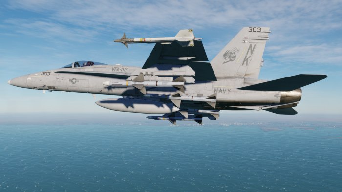 DCS: F/A-18c Hornet