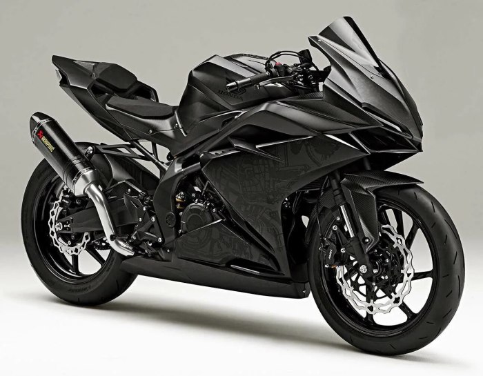 Honda CBR 250 R Motor