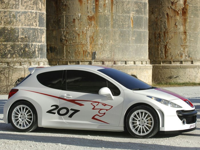 Peugeot 207 rcup Concept