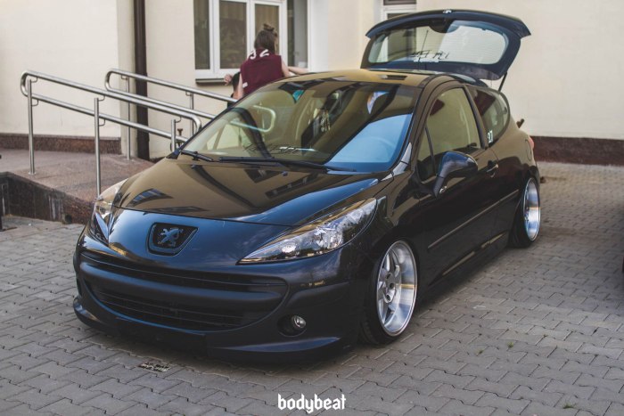 Peugeot 207 стенс
