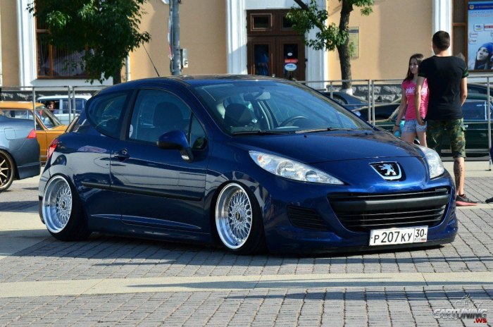 Peugeot 207 стенс