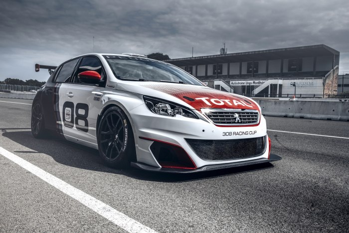 Peugeot Racing 308