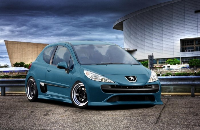 Peugeot 207 stance