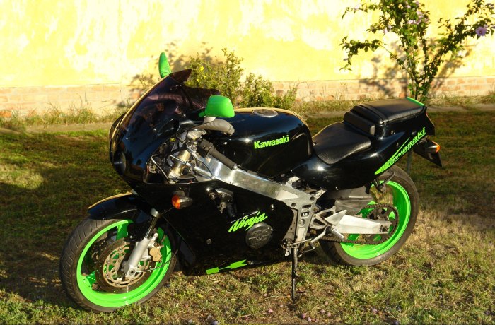 Kawasaki ZZR 400