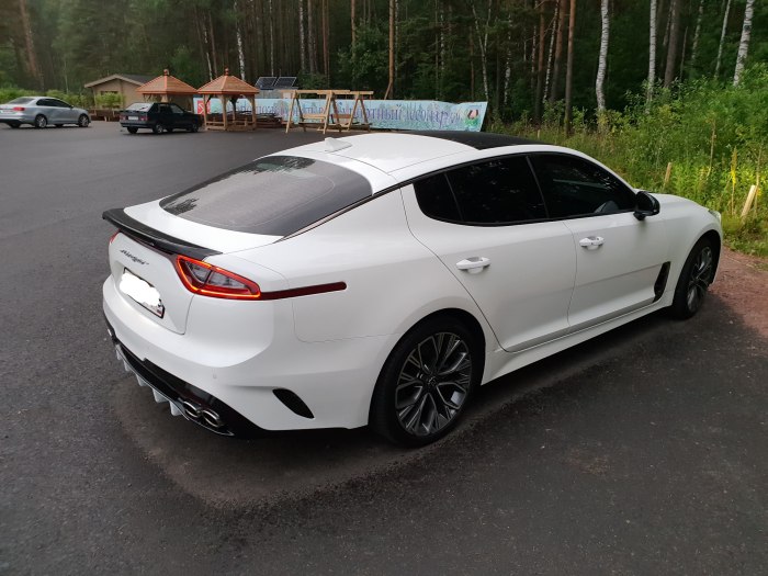 Kia k5 2022 тонировка