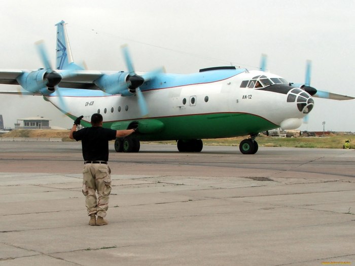 АН 12 грузовой самолет