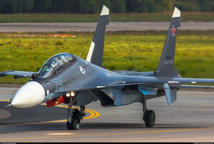 Су-30 двухдвигательный реактивный самолёт
