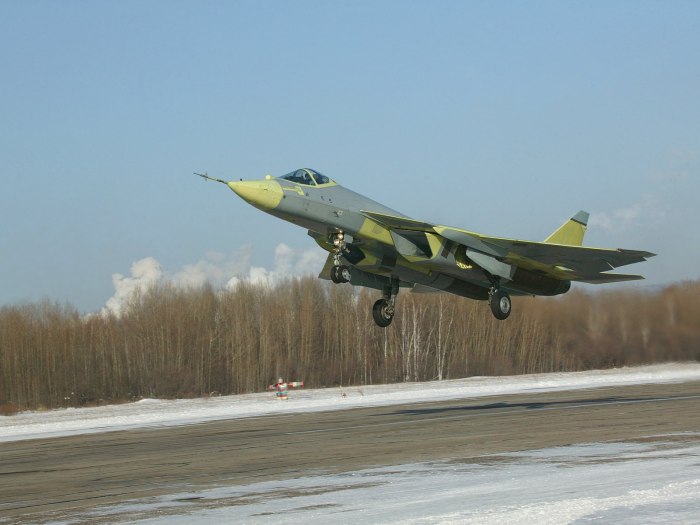 Самолет истребитель т50