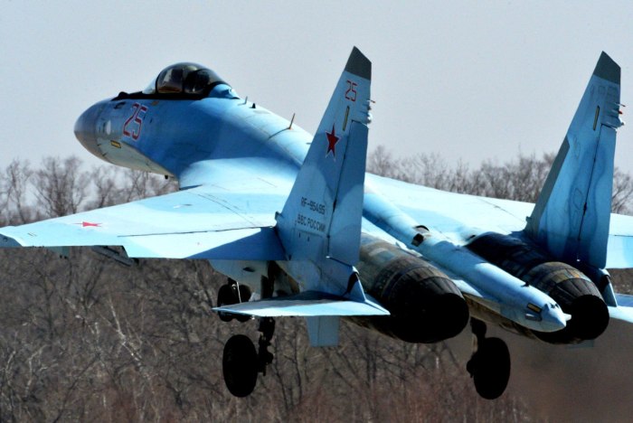 Су-35 на посадке