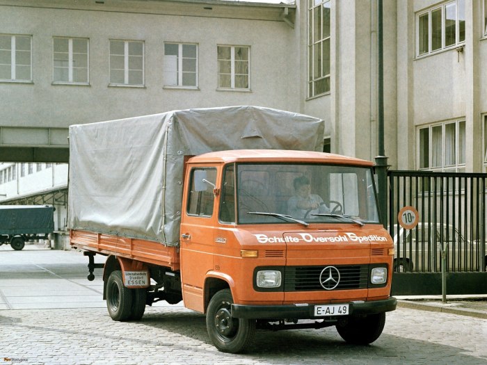 Mercedes Benz 407 d t2