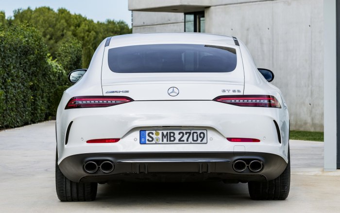 Mercedes Benz AMG gt 53