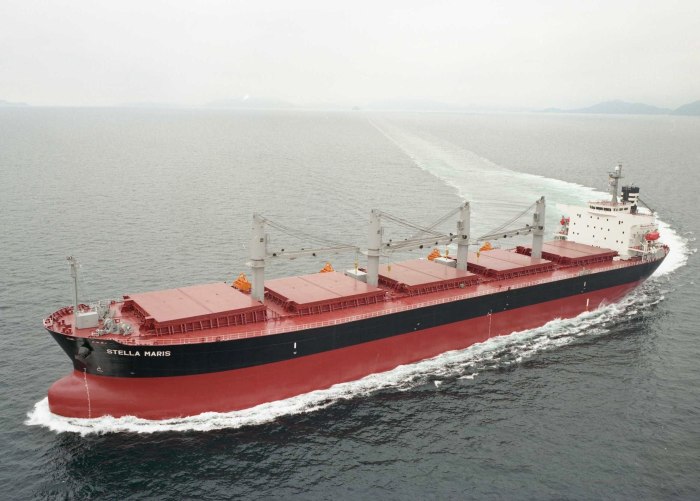 Bulk Carrier Тип судна