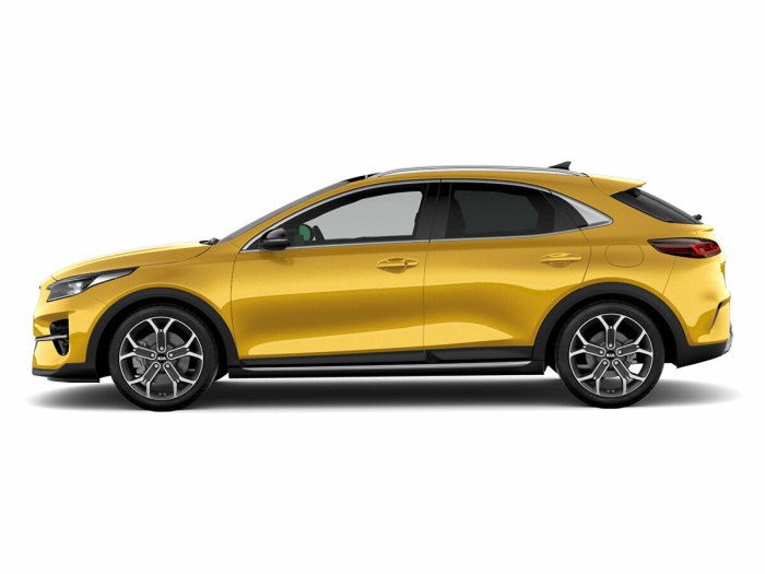 Kia Модельный ряд 2021