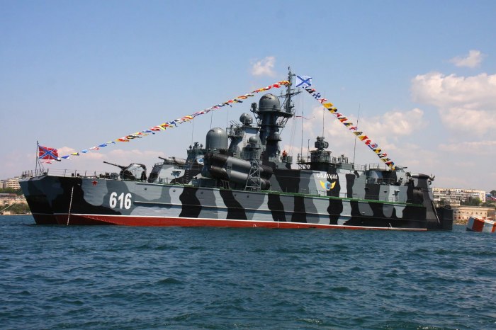 Военно морской флот РФ