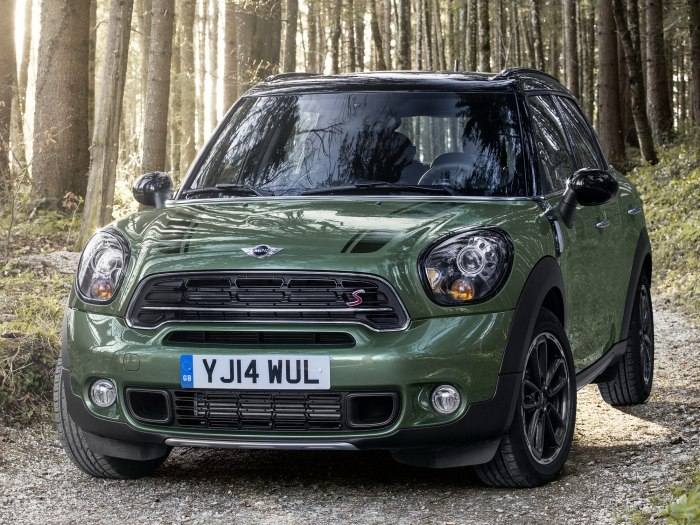 Mini Countryman SD(r60)
