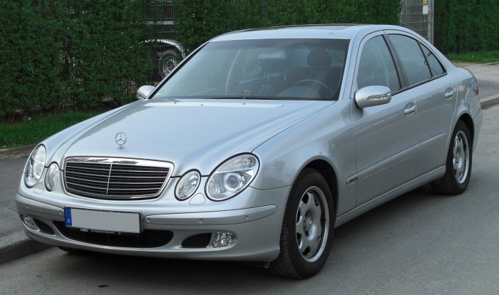 Mercedes Benz e220