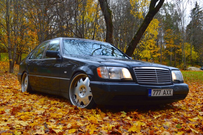 Mercedes Benz s class w140 кабан