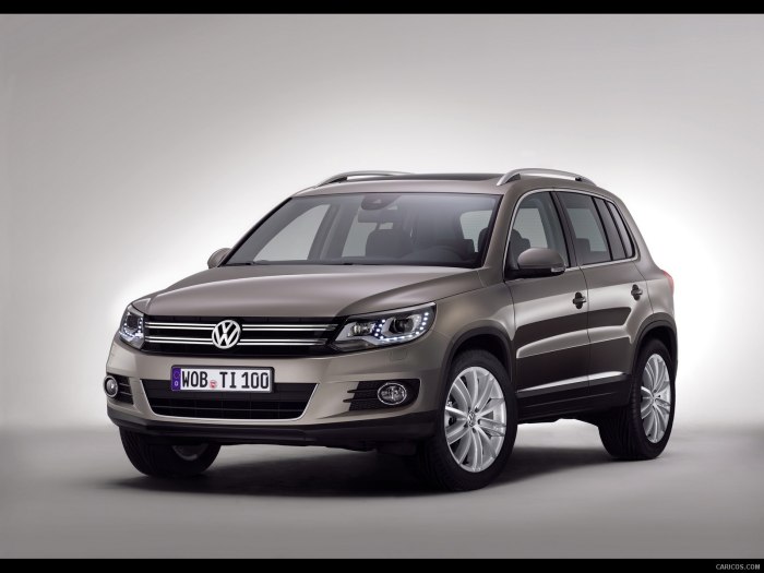 Tiguan 2013