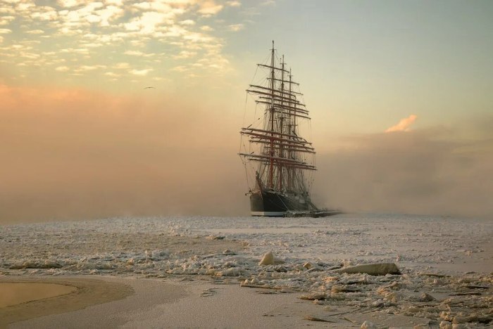 Барк Седов в море