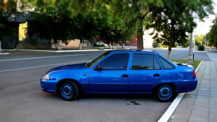 Daewoo Nexia n150 Василек