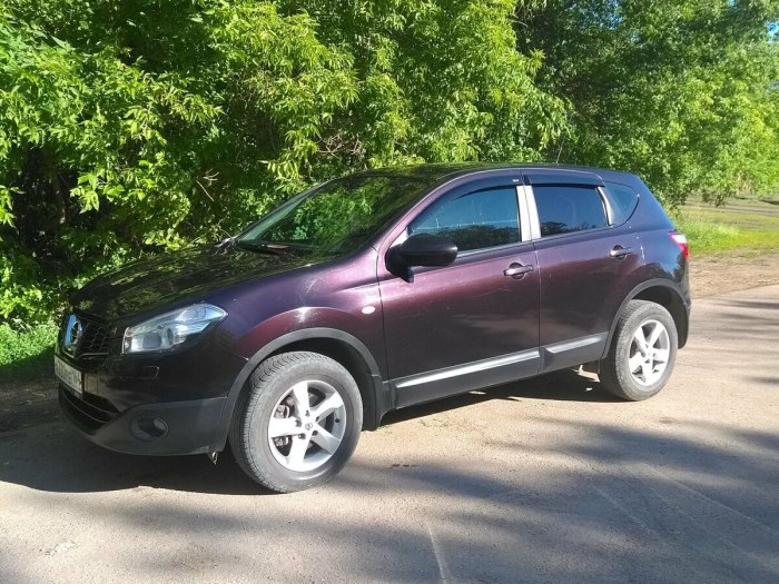 Nissan Qashqai 2011 фиолетовый