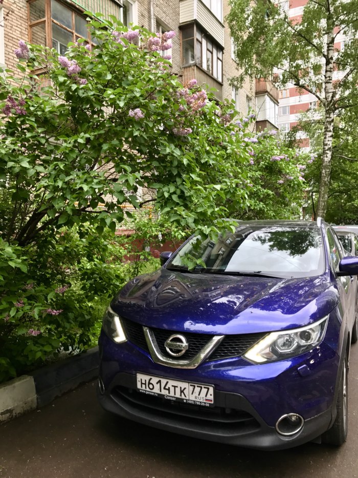 Ниссан Qashqai фиолетовый