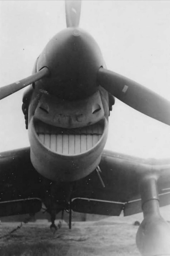 Junkers ju 87 Stuka