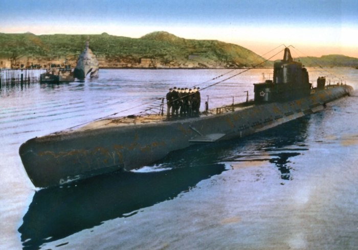 Подводные лодки типа «крейсерская»