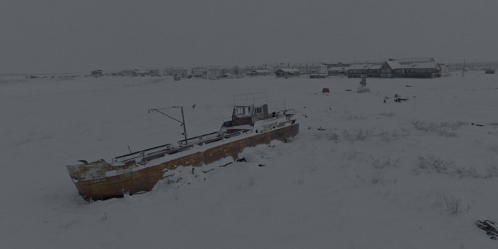 Голоса Арктики